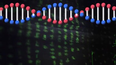 Okul ortamında bilimsel veriler, DNA dizileri ve ikili kodlama animasyonları işleniyor. Biyoteknoloji, bilim, genetik, araştırma, eğitim, teknoloji
