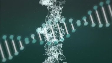Koyu yeşil arka planda geometrik şekilli DNA iplikçiklerinin animasyonu. Genetik, biyoteknoloji, moleküler, bilim, soyut, üç boyutlu