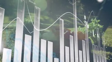 Finansal veri tablolarının yemyeşil orman geçmişini kapsayan animasyonu. Finans, büyüme, sürdürülebilirlik, yatırım, çevre, doğa