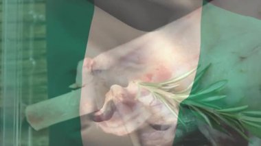 Nijerya bayrağı renkleri mutfak masasında biberiyeyle kaplanmış çiğ et üzerine. Vatanseverlik, kültür, aşçılık, baharat, protein, yemek pişirme