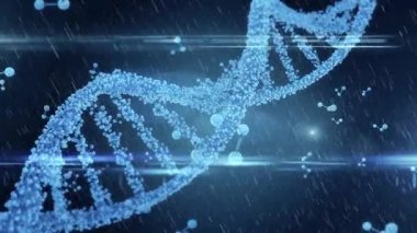 Animasyonda ikili kodlama ile bilimsel veri işleme dizisi. Biyoteknoloji, genetik, biyoenformatik, genom, moleküler, araştırma