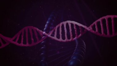 Karanlık arka planda parlayan DNA dizisi bilimsel konsepti temsil ediyor. Biyoteknoloji, genetik, moleküler, araştırma, sağlık, biyoloji