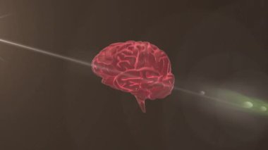 Soyut etki yaratıyor, kırmızı sinirsel ağ animasyonunda parlayan ışık. Dijital, fütüristik, teknoloji, aydınlatma, siber uzay, canlı