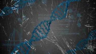 Araştırma için bilimsel veri animasyonunda ikili kodlama ile DNA ipliği işleme. Genetik, biyoteknoloji, biyoenformatik, yenilik, analiz, sıralama