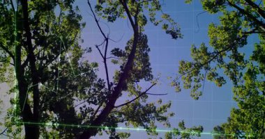 Dalgalanan çizgi animasyonu ile kaplı yeşil yapraklı ağaç dalları. Doğa, yeşillik, büyüme, finans, analitik, teknoloji