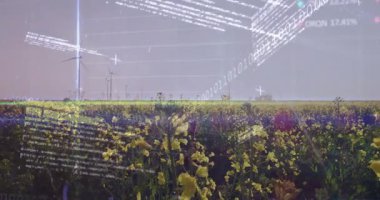 Sarı çiçek tarlasında dönen rüzgar türbinleri ile finansal veri animasyonu örtüşüyor. Sürdürülebilirlik, enerji, yenilenebilir, yeşil, çevre, yatırım