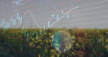 Finansal veri grafikleri, çiçek açan doğa manzarasında yeşillik. Finans, büyüme, ilerleme, çevre, sürdürülebilirlik, analitik