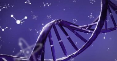 Mor arka planda atom sembolleri olan DNA iplikçiklerinin animasyonu, bilimsel kavram. Genetik, moleküler, biyoloji, kromozom, araştırma, sarmal