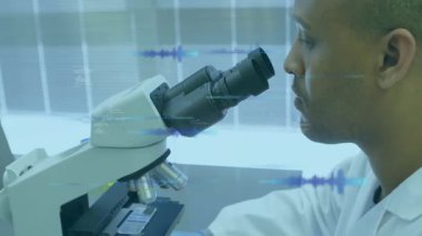 Laboratuvarda, bilim adamı mikroskop kullanarak dijital veri kaplamasının animasyonunu yapıyor. Bilim, araştırma, biyoteknoloji, yenilik, veri analizi, teknoloji