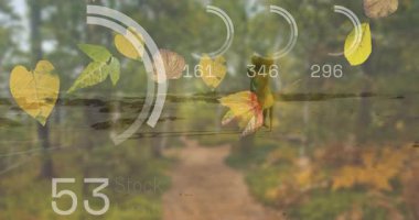 Düşen yapraklar orman patikasındaki yürüyüşçülerin üzerinde stok verileriyle örtüşüyor. Doğa, macera, yürüyüş, sonbahar, teknoloji, finans