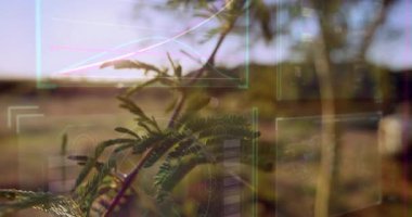 Bulanık doğal arkaplan üzerinde dijital veri işleme animasyonu olan yeşil yapraklar. Teknoloji, doğa, yenilik, sürdürülebilirlik, çevre dostu, dijital dönüşüm