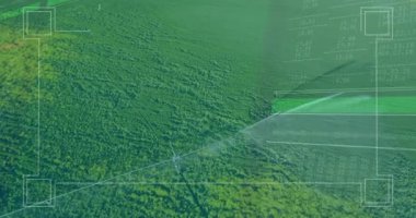 Veri işleme animasyonu eşleşen yemyeşil ormanın havadan görünüşü. Teknoloji, yenilik, çevre, ekosistem, sürdürülebilir, dijital