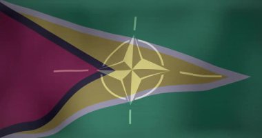 Uluslararası işbirliğini simgeleyen NATO amblemi ile Guyana bayrağı animasyonu. diplomasi, ittifak, ortaklık, işbirliği, küresel, birlik