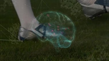 Beyin diyagramının animasyonu ve futbol oyuncusunun çimlerin üzerindeki ayağının üzerindeki ağ. Dijital, teknoloji, kavramlar, bağlantı, anatomi, spor
