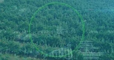 Çevresel analiz için yemyeşil ormanların dijital verilerini kaplayan animasyon. Sürdürülebilirlik, teknoloji, yenilik, koruma, ekoloji, doğa