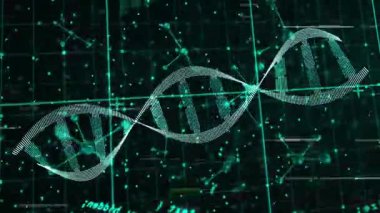 Okulda, DNA dizilimi bilimsel veri işleme animasyonu için ikili kodlama ile yapılır. Biyoteknoloji, genetik, biyoenformatik, yapay zeka, dijital veri, araştırma