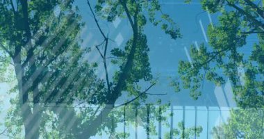 Ağaç dalları ve yaprakları mavi gökyüzünde veri işleme animasyonu ile kaplıydı. Teknoloji, doğa, fütürist, ağ, dijital, çevre