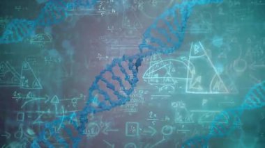 Bilimsel veri işleme animasyonu üzerinde DNA ipliği ve matematiksel denklemler. Bilim, genetik, teknoloji, analiz, biyoloji, matematik