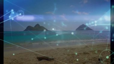 Tropikal plaj sahnesinde bağlantılar ve veri işleme animasyonu ağı. Teknoloji, dijital, ağ, internet, sanal, bilgi