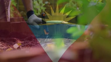 Antigua ve Barbuda bayrağıyla bahçecilik, açık havada bitki yetiştirme. Bahçıvanlık, tarım, peyzaj, vatanseverlik, tropikal, miras.