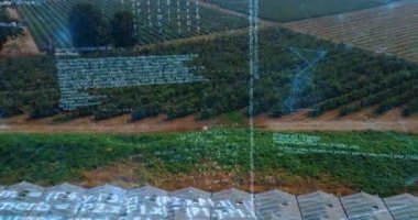 Dijital kodun animasyonu sera ve alanların havadan görünüşünü örtüyor. Teknoloji, tarım, yenilik, çevre, sürdürülebilirlik, tarım