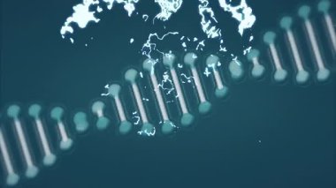 Laboratuvar ortamında bilimsel veriler, DNA dizileri ve ikili kodlama animasyonları işleniyor. Bilim, biyoteknoloji, genetik, araştırma, analiz, laboratuvar.