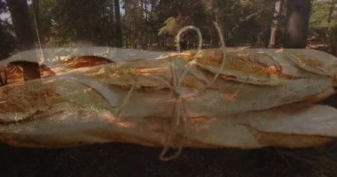 Ağaçların arasından süzülen güneş ışığıyla orman yolu üzerinde pizza dilimi animasyonu. Doğa, dijital sanat, yaratıcılık, kavram, yeşillik