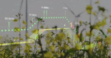 Rüzgar türbinleri ve bitkilerle birlikte yeşil finansal veri animasyonu. Yenilenebilir, enerji, sürdürülebilirlik, yatırım, çevre dostu, çevre