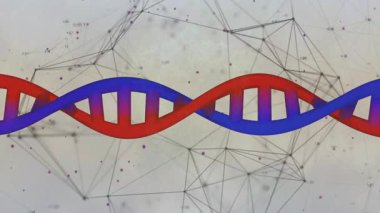 Bağlantılar ağının üzerinde kırmızı ve mavi renkte DNA iplikleri var. Bilim, biyoteknoloji, genetik, moleküler, yenilik, gelecekçi