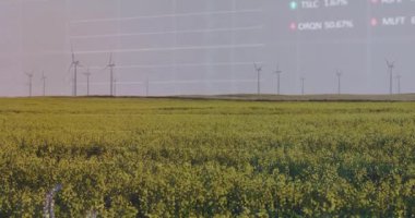Sarı alanda rüzgar türbinleri ve borsa veri animasyon örtüsü. Yenilenebilir, enerji, sürdürülebilir, çevre, teknoloji, finans