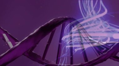 Animasyonlu DNA ipliği ve mor arka planda soyut ışık desenleri. Genetik, biyoteknoloji, moleküler, bilim, yapı, sarmal