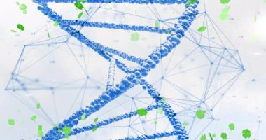 Yeşil yoncalı DNA ipliği ve bilimsel animasyonlarda ağ bağlantıları. Biyoteknoloji, genetik, moleküler, biyoenformatik, yenilik, araştırma