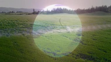 Yeşil tarlalar ve açık gökyüzünün altındaki uzak ağaçlar üzerinde çember oluşturun. Manzara, doğa, kırsal, kırsal, sükunet, sükunet