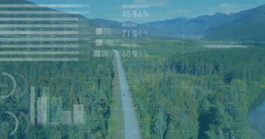 Animasyon işleme kapasitesi olan ormanın içindeki yolun havadan görünüşü. Teknoloji, yenilik, bağlantı, dijital, manzara, ulaşım