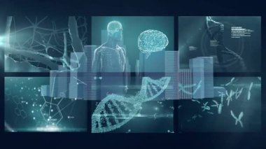 Fütürist okul arayüzü elementleriyle DNA iplikçiklerinin ve beyin hologramının animasyonu. Bilim, teknoloji, eğitim, yenilik, genetik, nörobilim