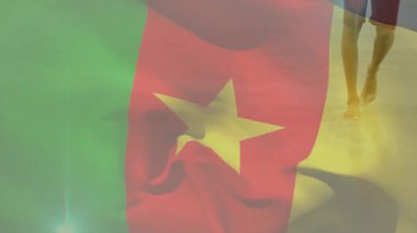 Kamerun bayrağı sallamak, gün batımı animasyon sahnesinde sahilde yürüyen biri. Tropikal, siluet, vatansever