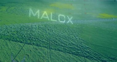 Veri işleme animasyonu açık gökyüzü ile yeşil alan manzarası üzerinde örtüşüyor. Teknoloji, dijital, tarım, yenilik, analiz, çevre