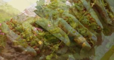 Canlı çiçekler ve yeşil animasyonlarla çevrili yemyeşil bir bahçede duran bir adam. Doğa, açık hava, botanik, çevre, barış, yeşillik.