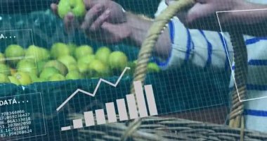 Elmaları sepete koymak, veri tablosunu animasyon örtüsüyle analiz etmek. İş, veri analizi, tarım, verimli, istatistik, yenilik