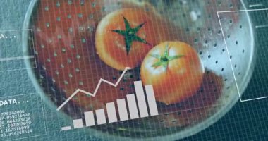 Domatesleri grafiklerle ve ikili kodlarla kaplayan veri işleme animasyonu. Teknoloji, analiz, dijital, yenilik, fütürist, bilgi