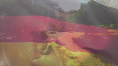 Parkta yürüyen insanlar canlı gökkuşağı bayrağı animasyonlarıyla örtülüydü. Topluluk, çeşitlilik, gurur, kapsama, eşitlik, kutlama