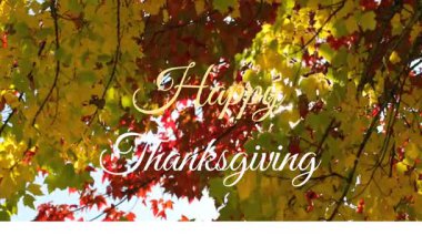 Mutlu Şükran Günü metinleri renkli sonbahar yaprakları animasyon arka planında. Sonbahar, kutlama, yeşillik, şenlik, mevsimlik, doğa
