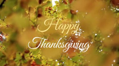 Sonbahar yapraklarının animasyonu. Mutlu Şükran Günü metinleri ve zarif senaryolar. Yapraklar, kutlamalar, tatiller, mevsimlik, şenlikli, tipografi