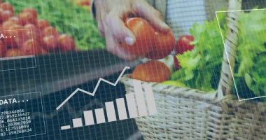 Veri işleme animasyonu kaplamalı sepetten domates topluyorum. Teknoloji, yenilik, tarım, tarım, hasat, fütüristik