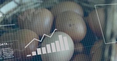 Grafik ve ikili kod animasyonu, yumurtalar üzerinde şebeke deseninde. Teknoloji, veri, dijital, geleceksel, ağ, konsept