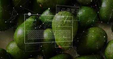Modern teknoloji kavramında avokadoları kaplayan dijital veri işleme animasyonu. inovasyon, gıda, tarım, fütüristik, ağ, analiz