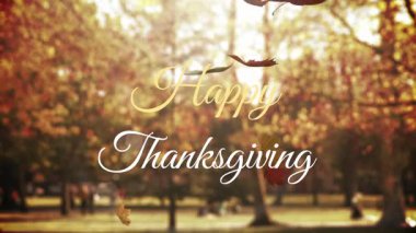 Sonbahar yapraklı Şükran Günü animasyonu ve arka planda bulanık park. Yapraklar, festival, hasat, kutlama, mevsimlik, rahat