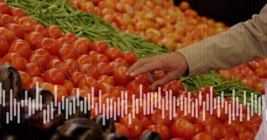 Markette domatesleri veri analizi animasyonuna tercih eden kişi. Alışveriş, süpermarket, seçim, üretim, teknoloji, perakende