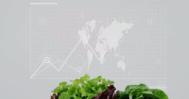 Arka planda canlandırılmış dünya haritası olan taze marul ve domatesler. Sebzeler, salata, sağlıklı, küresel, beslenme, tazelik