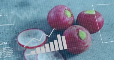 Veri tabloları ve ikili kod, okul projesinde turpların canlandırılması. Teknoloji, analitik, veri görselleştirme, tarım, yenilik, eğitim